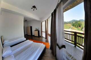 Отель Perla Apusenilor Альбац Стандартный двухместный номер с 2 отдельными кроватями и видом на горы-5